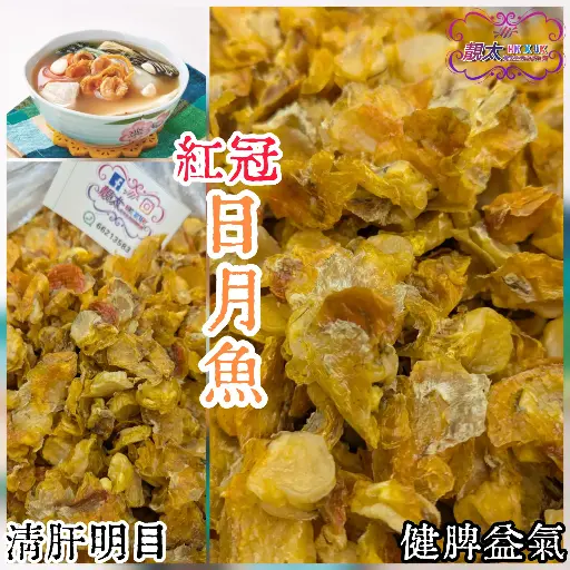 紅冠日月魚