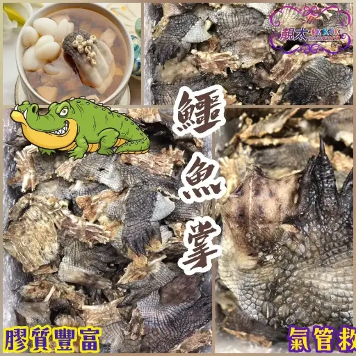 鱷魚掌