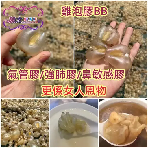 雞泡膠