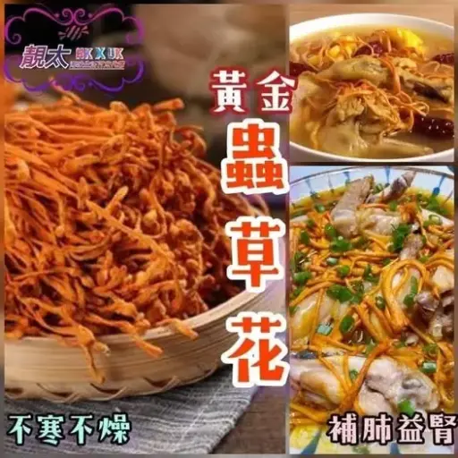 蟲草花