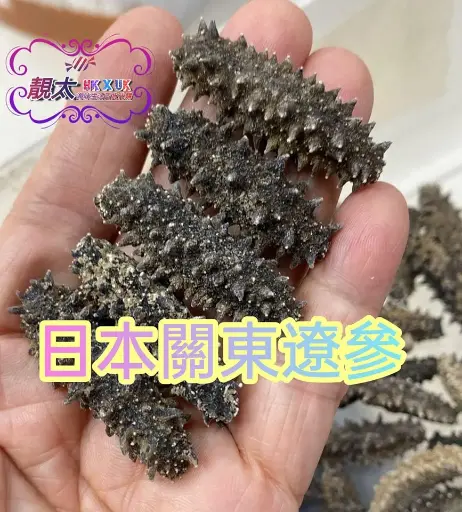 關東六排刺針遼參