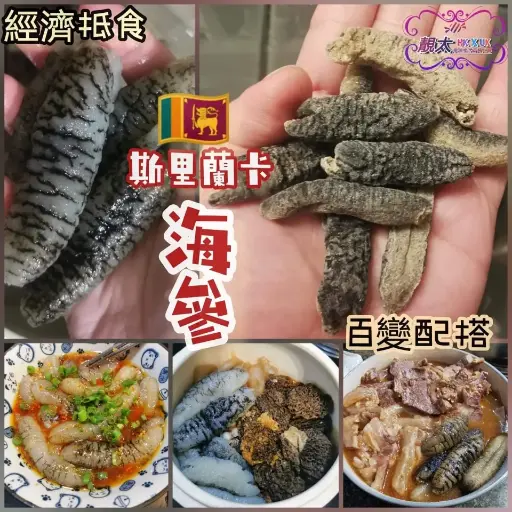 斯里蘭卡海參BB