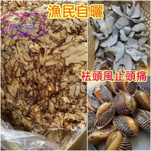 漁民螺片