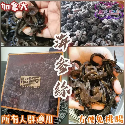 海參絲