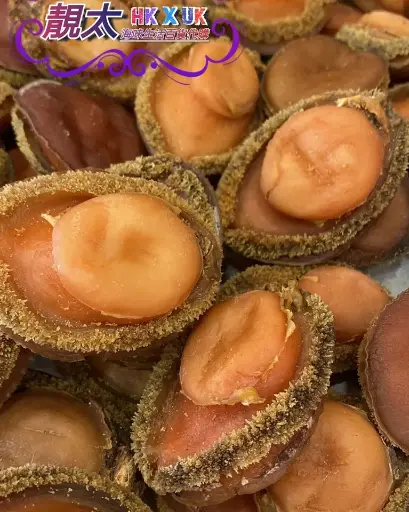 7-8頭南非老鮑