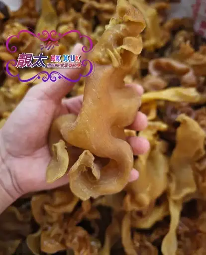 超老身泰國花膠25頭