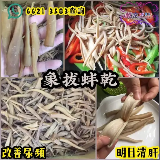 象拔蚌咀干