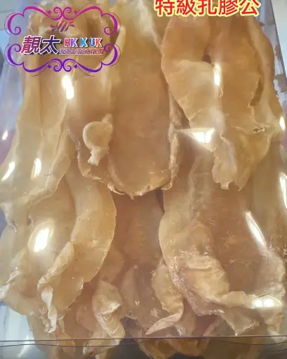 15頭特級扎膠公