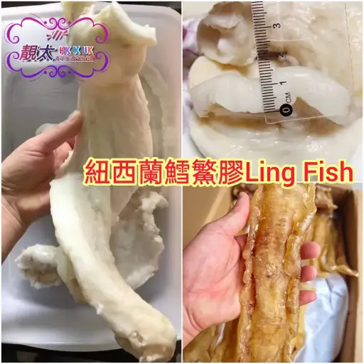 4頭極老身血紅紐西蘭鱈鰵膠