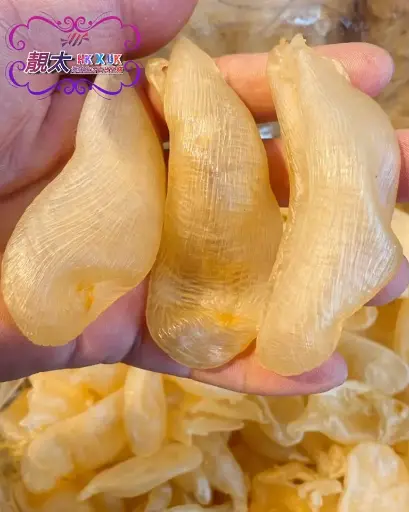 金黃珍珠花膠