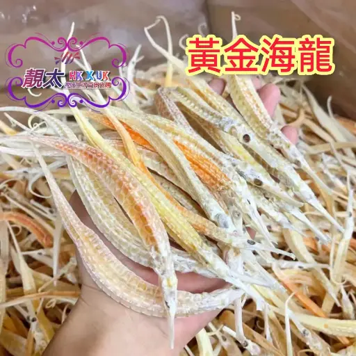 黃金海龍
