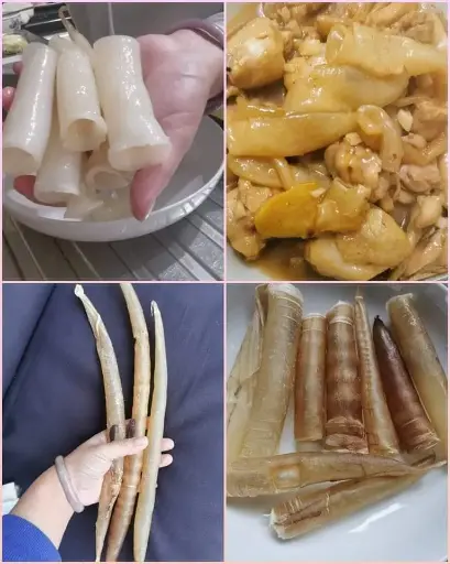 40頭黃門鱔膠