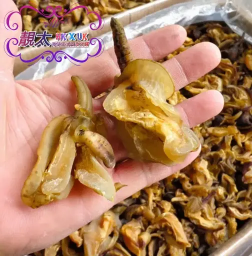 鮮味螺咀