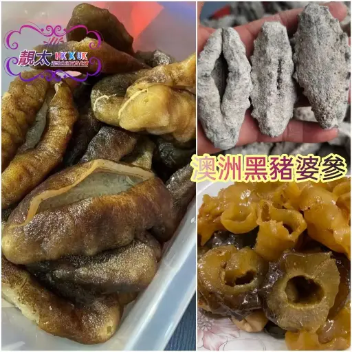 澳洲黑豬婆參