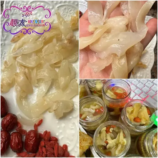 野生小白花膠
