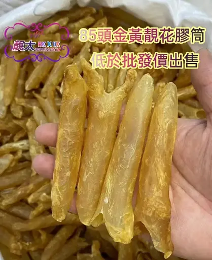 85頭金黃花膠筒