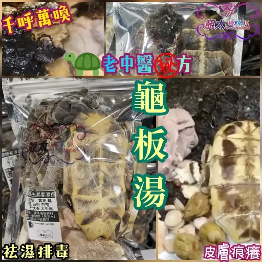 原塊龜板湯包