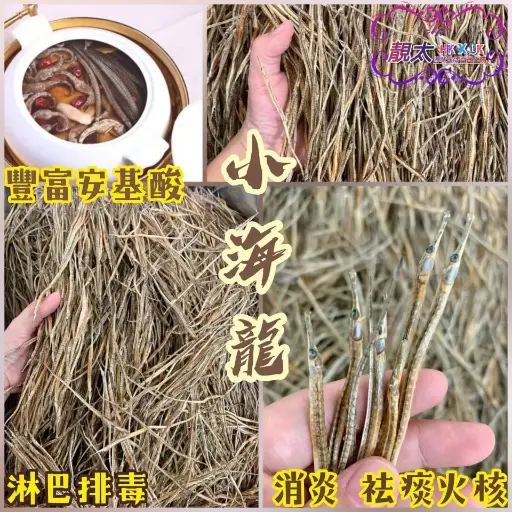 小海龍