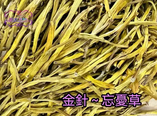 金針花(忘憂草)