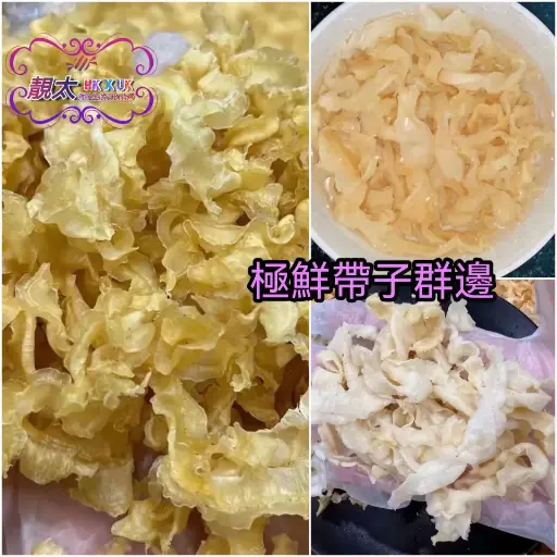 極鮮帶子群邊