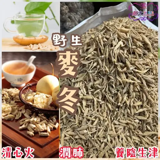 野生麥冬