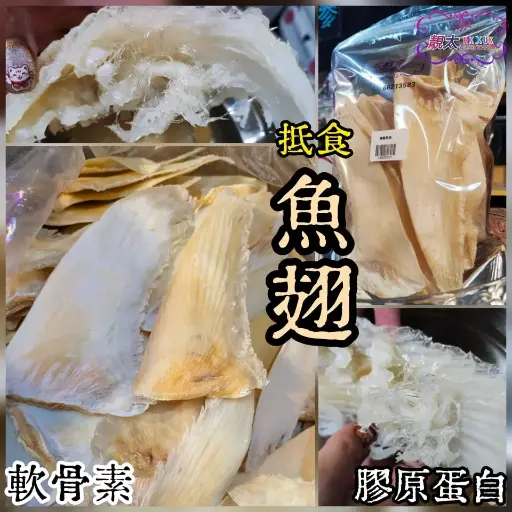抵食魚翅