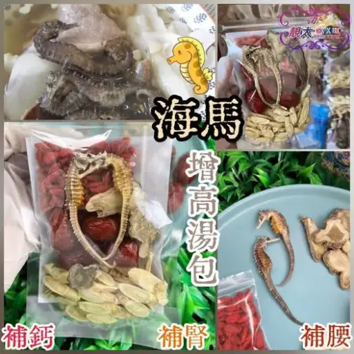 海馬增高湯包