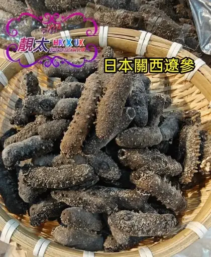 90支裝日本關西遼參