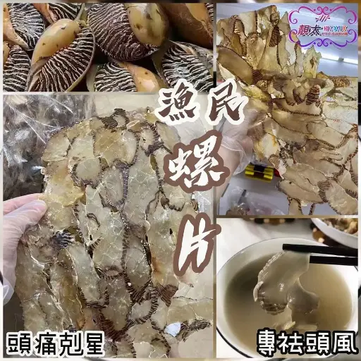 漁民螺片