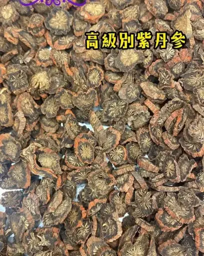 紫丹參