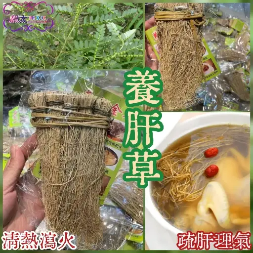 養肝草