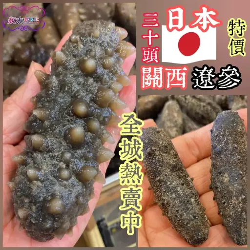 日本關西30枝遼參