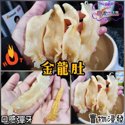 野生咸水金龍肚花膠筒