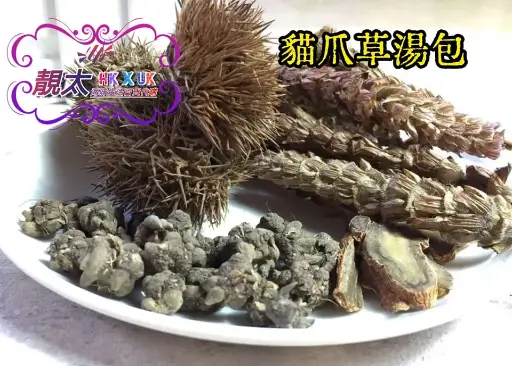 貓爪草湯包（特配）