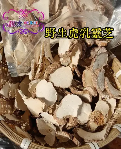 野生虎乳靈芝