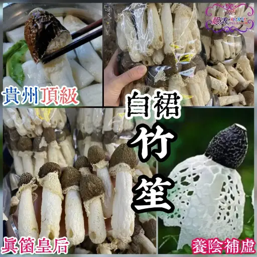 特大黑帽野生竹笙