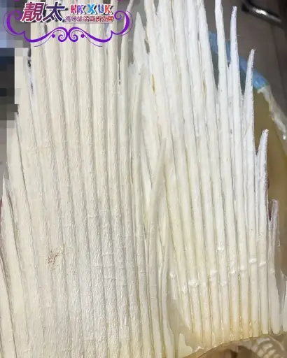 大大片鯊魚骨
