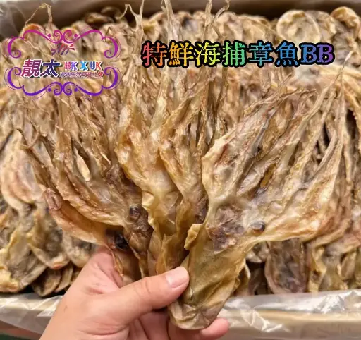 海捕章魚BB