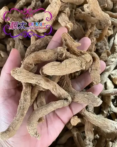 野生海玉竹