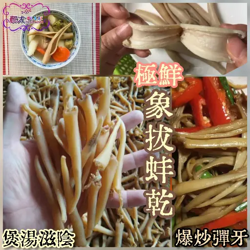 極鮮象拔蚌