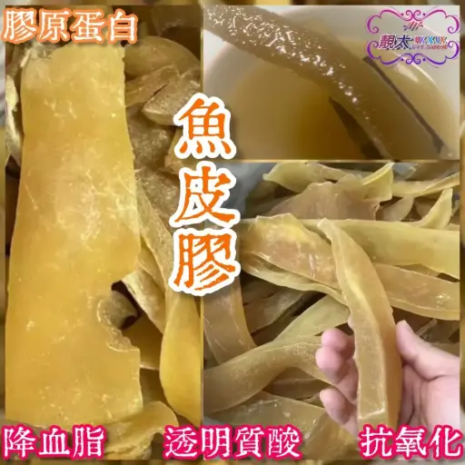 M碼鯊魚厚皮