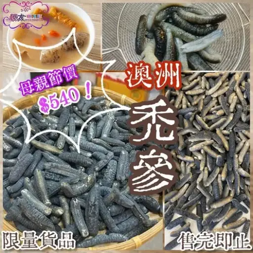 澳洲禿參