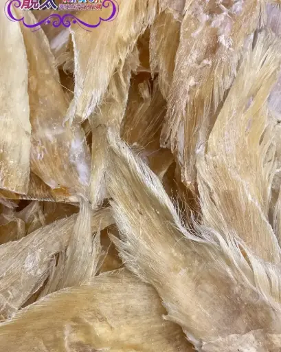 青翅片