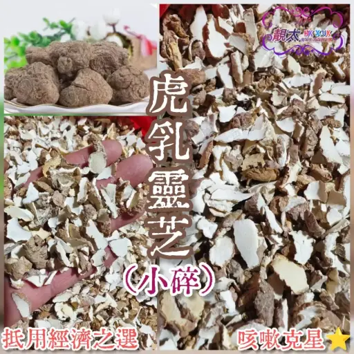 野生虎乳靈芝大碎