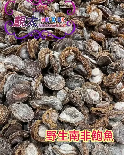 野生南非老鮑魚 20-23頭