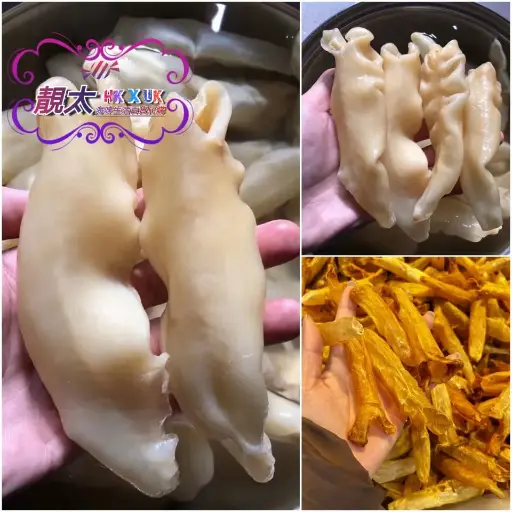 160頭金黃花膠筒