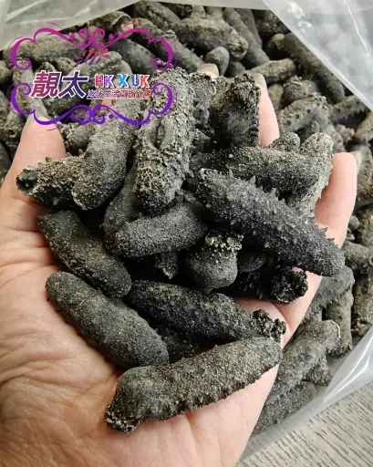 關西遼參 (130支)