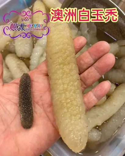 澳洲白玉禿