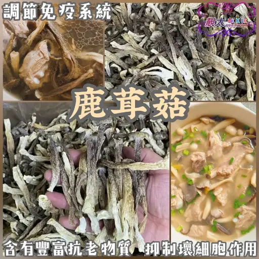 鹿茸菇