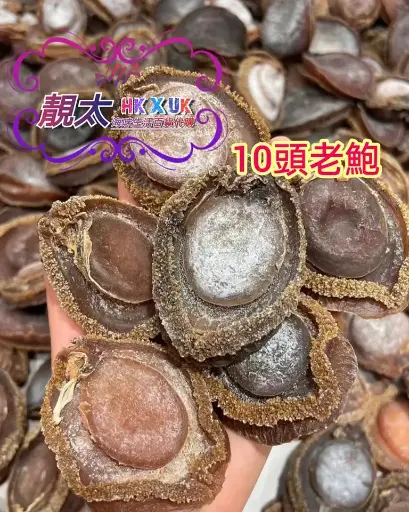10頭極老鮑